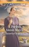 [Indiana Amish Brides 03] • A Perfect Amish Match